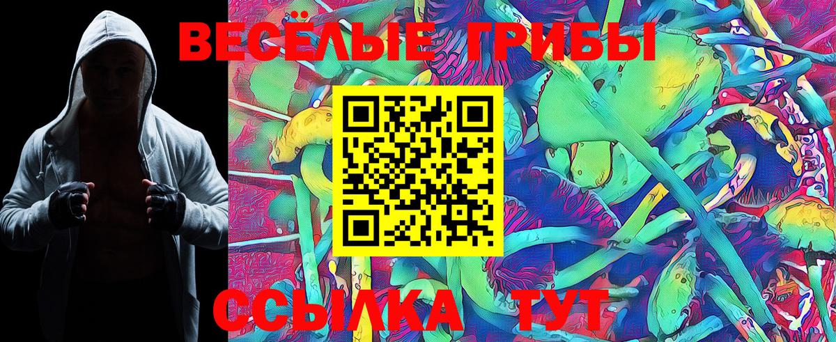 Рассказово  Галлюциногенные грибы GOLDEN TEACHER  Вход с VPN  Галлюциногенные грибы GOLDEN TEACHER 